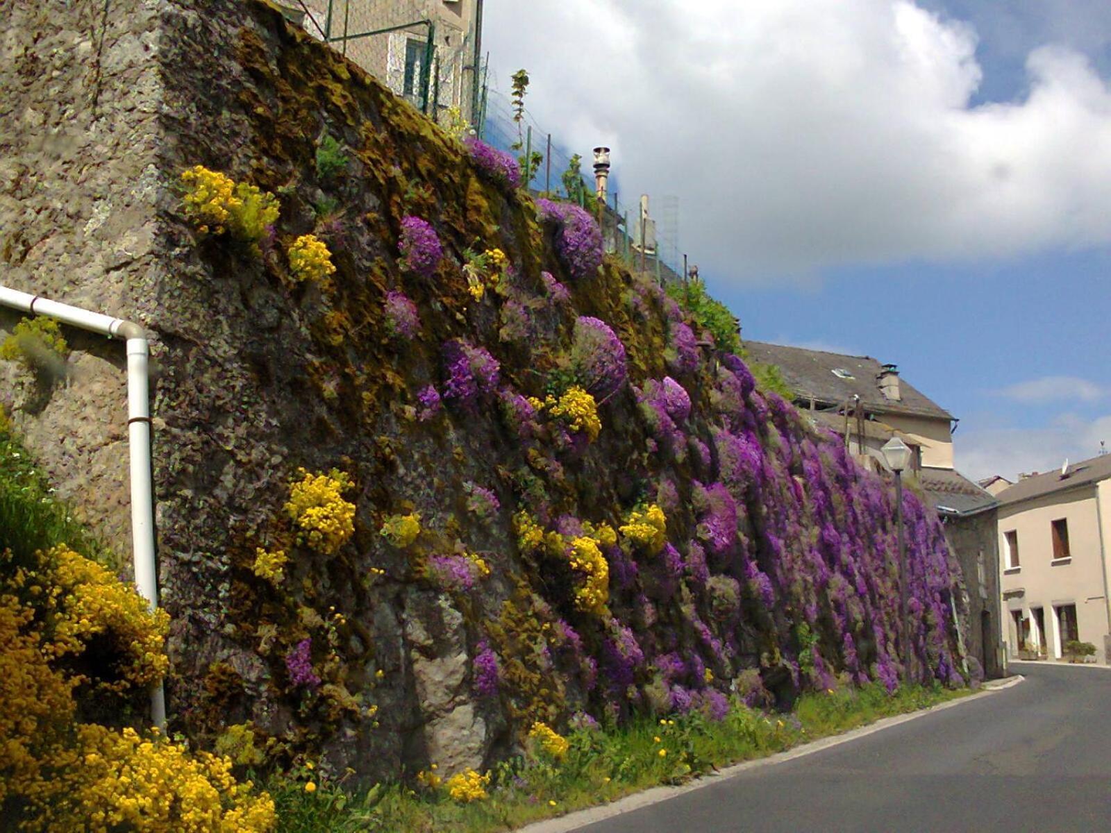 Le Chalet Du Roc La Panouse  Rom bilde